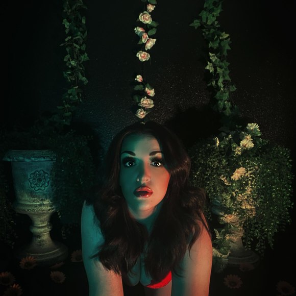 dahlia_nuit